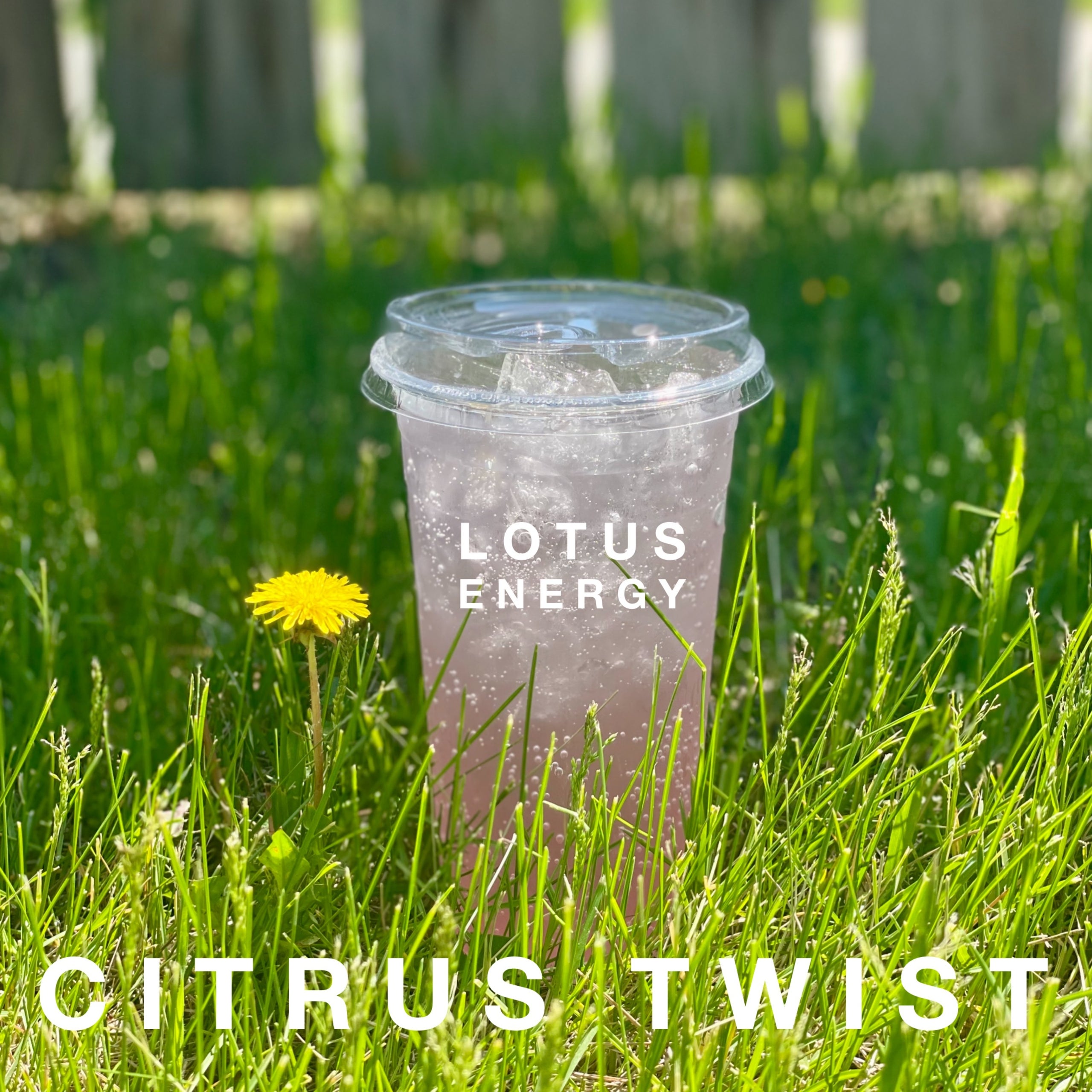 Lotus Energy Citrus Twist (White Lotus, Grapefruit, White Peach ...